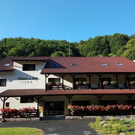 Vendégház Pensiunea Floare De Colt *